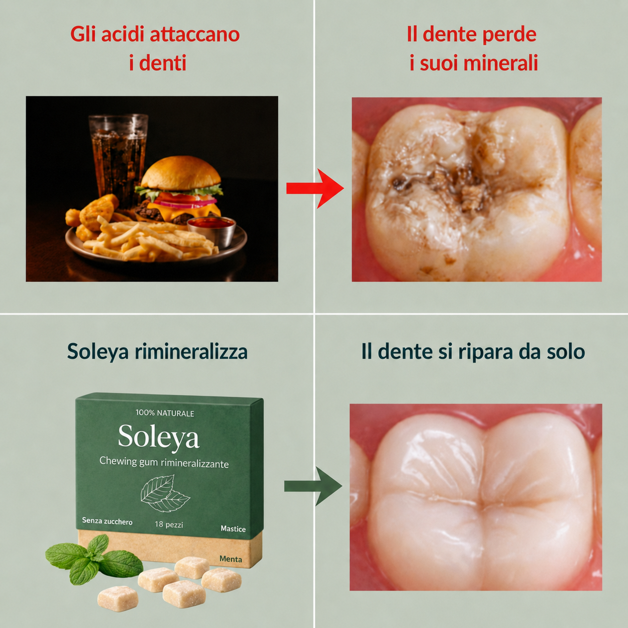 Processo